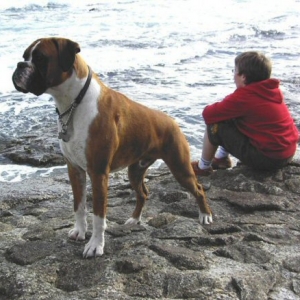 Eliot (10 months old) on holiday in Cornwall