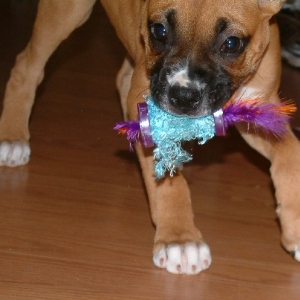 She loves to hate it!