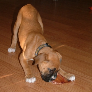 There's nothin' like a TREAT!