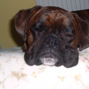 Lola 11th May