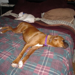 im all tuckered out...