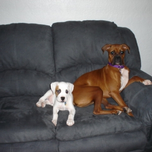 MOM you got us a new couch!!!