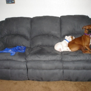 shhhhh!!! sit still Peanut Im using you as a pillow..