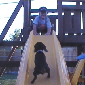 Neener, neener ... I can do it but first!  TOP THAT!!!