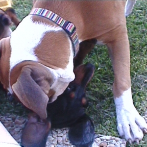 The girls love each other so much!    =D