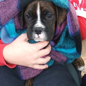 Cosy and Warm