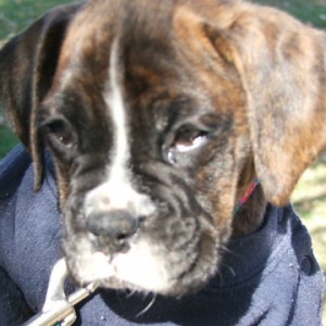 Who could say no to a face like this???
