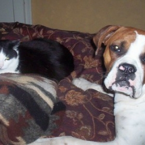 Jackson_Tommy_May_06