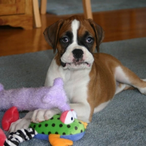 my toys!