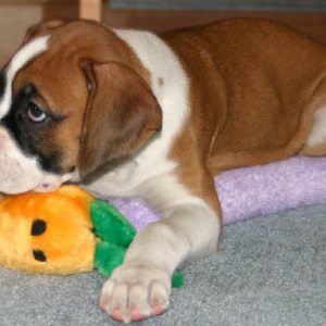 still my toys!