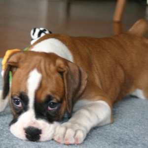 firstdayhome5