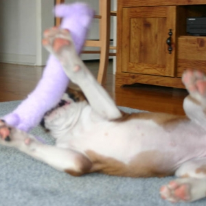 crazy girl!