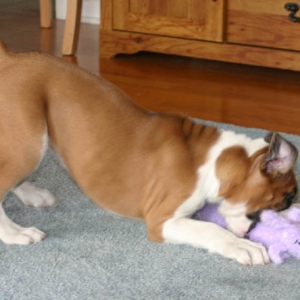 playing