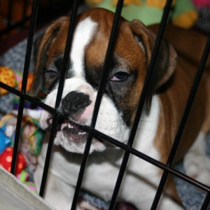 trying to stay awake