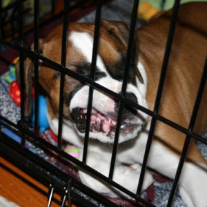 yes, she CHOSE to sleep like this