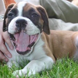 another big smile