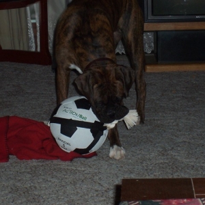 Fav_Ball