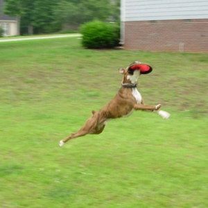 Super Gus!