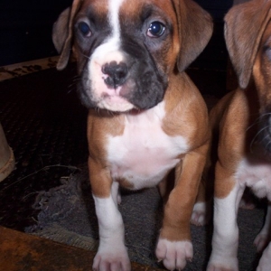 Riley_6_5_wks