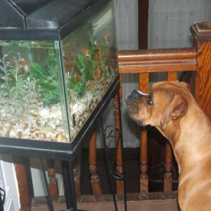 Fishy
