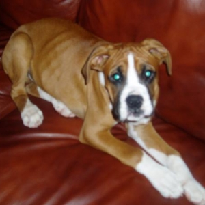 hes getting big now!