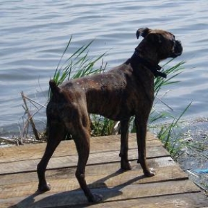 Foreman on Dock