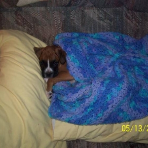 Sophie on her first day home