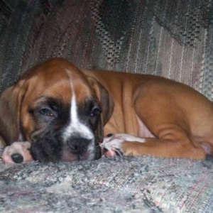 Sophia-Anne  7 Weeks