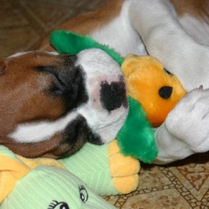sleepin' with her carrot