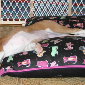 this can't be comfy!!!