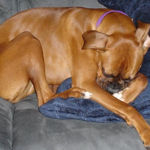 She looks so innocent and precious....