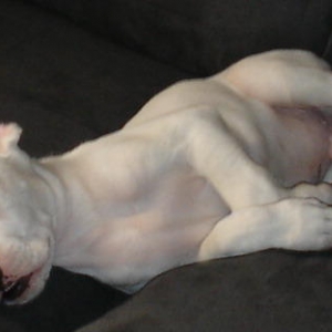 hehe I can sleep anywhere at anytime...