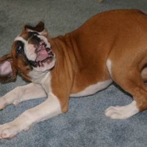 look at that mush-face