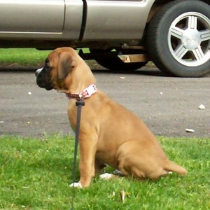 Sophie sitting pretty
