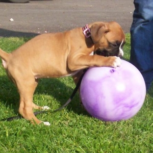 Maybe I should've gone for the small ball.