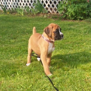 Just Sophie again