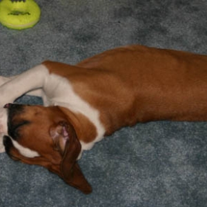 zonked out after playing