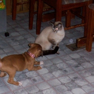 Sophie Meets Chloe