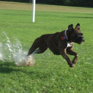 Takeoff!