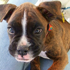 What a face