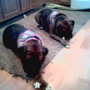 My Babies