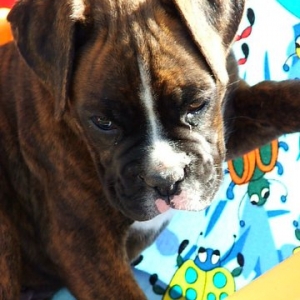 May I could be a "Model"............