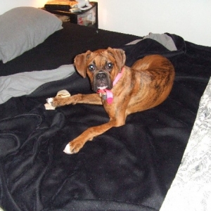 Pretty Girl