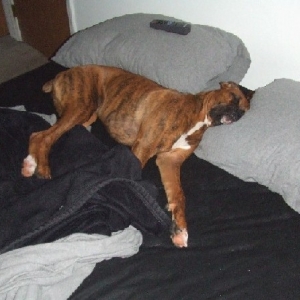Sleeping Baby