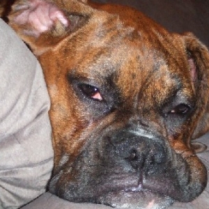 Soooo Tired!
