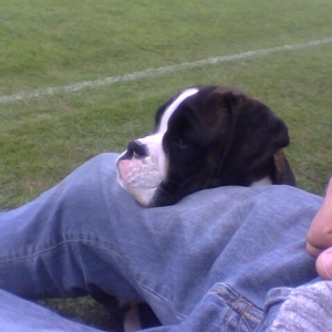 Watching cricket...