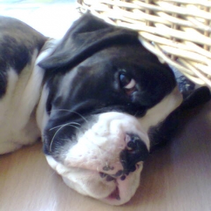 After a little rest...