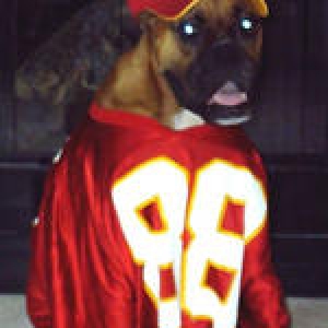Go Chiefs!!