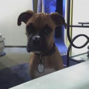 Will you please get out of there and play with me?!?!?!?!