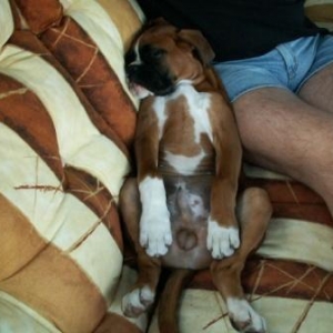 Fast asleep